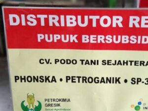 Jasa Papan Nama Jember Murah